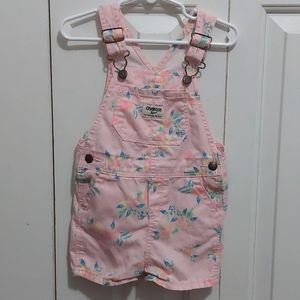 OshKosh overall